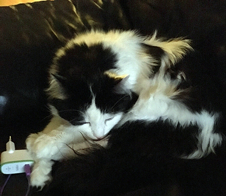 Lucifer sover i Annas fåtölj