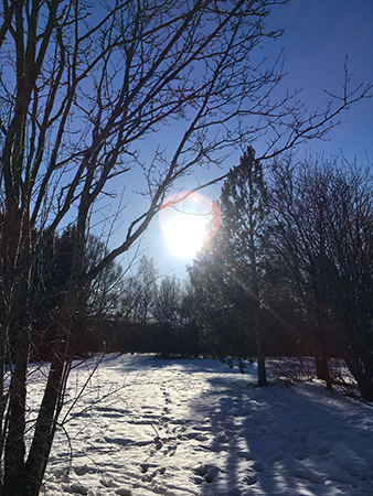 Solen skiner på snön