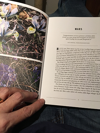 Marskapitlet i Trädgårdsmästarens anteckningar