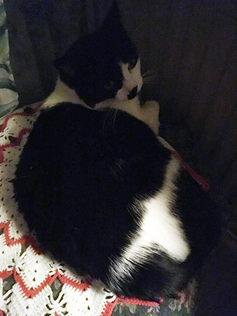 Mini sover på virkade duken