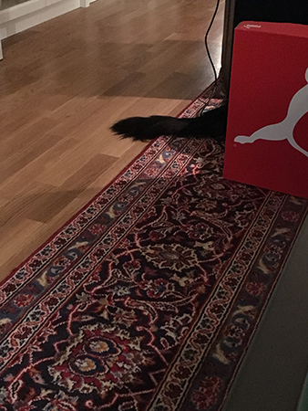 Puma och Citrus svans