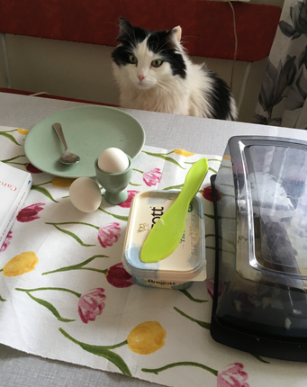 Lucifer vid frukostbordet