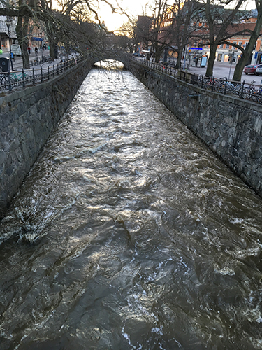 Fyrisån 20 februari 2019