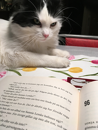 Lucifer och bok på köksbordet