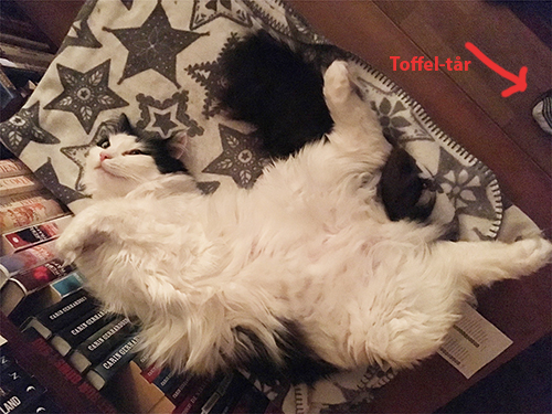 Lucifer utfläkt på filten