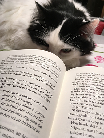 Lucifer och bok på köksbordet