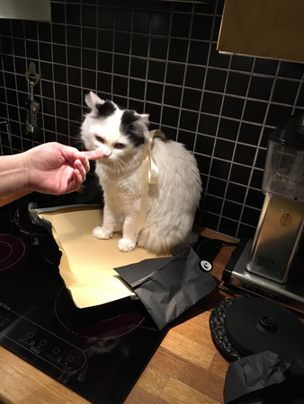 Anna petar Citrus i nosen