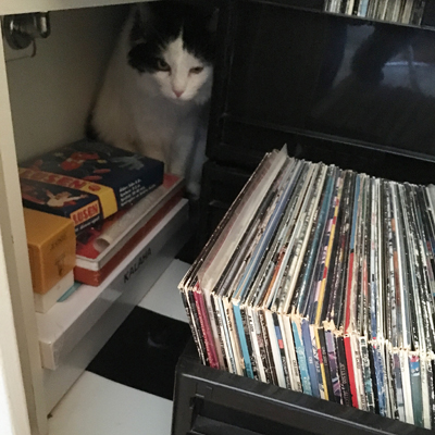 Lucifer i garderoben