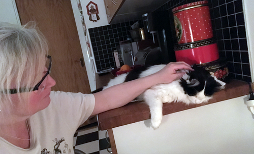 Anna och Lucifer i köket