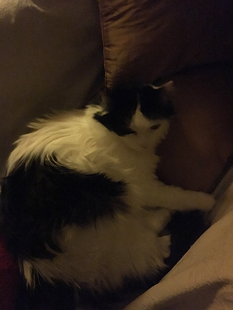 Lucifer i farfarsfåtöljen