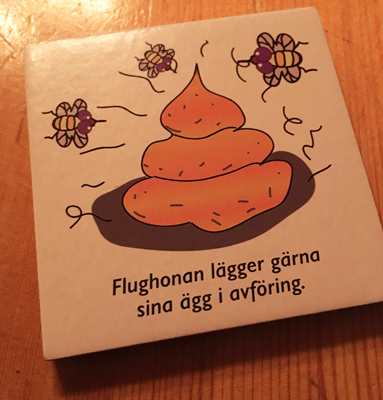 Flughonan lägger ägg i avföring