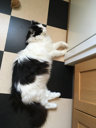 Lucifer utanför skafferidörren