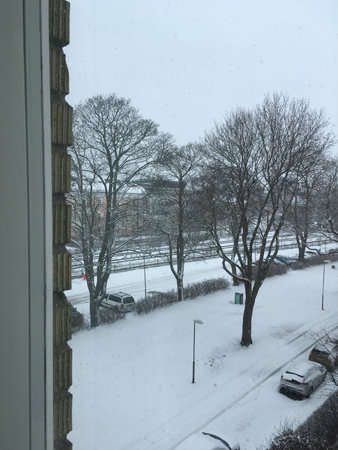 Snö den 3 mars 2019