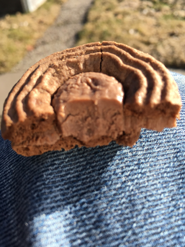 Ballerina chokladboll