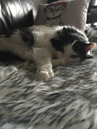 Lucifer med framsträckt tass