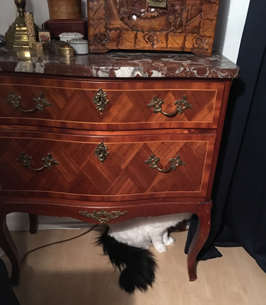 Citrus under byrån i sovrummet