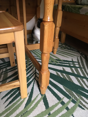 Nya mattan i Djungelrummet