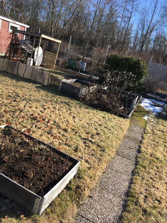 Delar av trädgården på baksidan