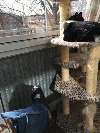 Jag och Mini hänger på balkongen