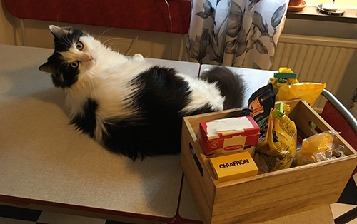 Lucifer på köksbordet med låda med bakgrejor