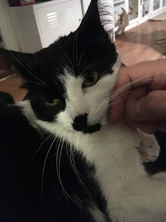 Mini blir kliad av mig