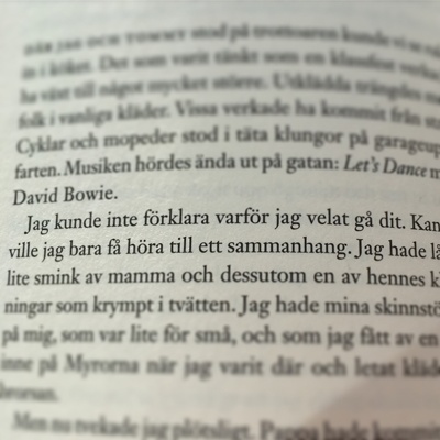 Citat ur Havsmannen om sammanhang