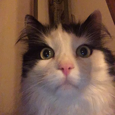 Lucifer med uppspärrade ögon