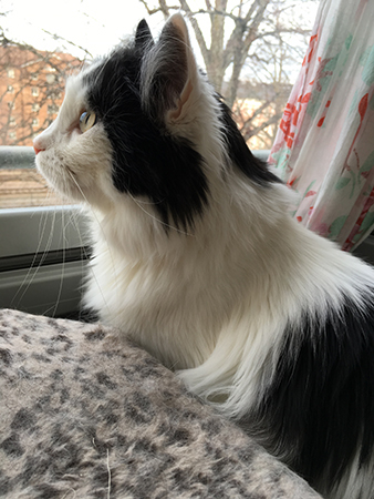 Lucifer på balkongen