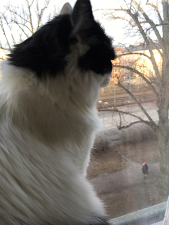 Lucifer spanar på balkongen