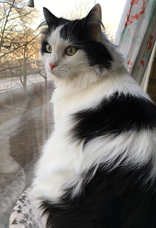 Lucifer spanar på balkongen