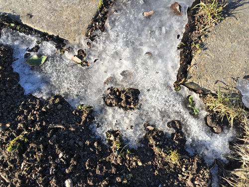 Isigt mellan plattorna