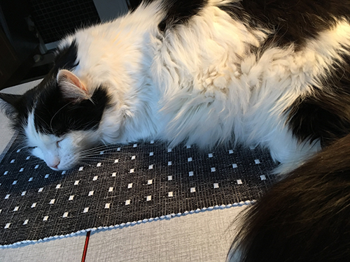 Lucifer på köksbordet 3