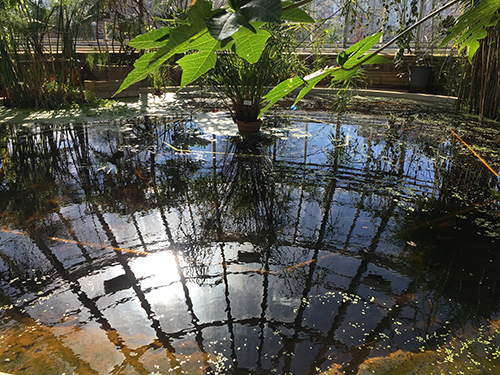 Victoriadammen 28 mars 2019