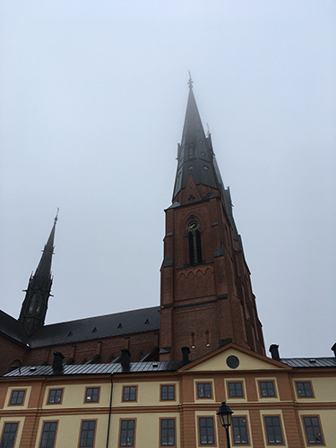 Domkyrkotornen disig marsmorgon 2019
