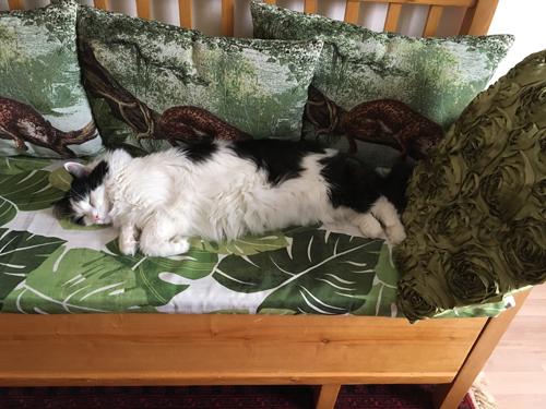 Lucifer sover i kökssoffan