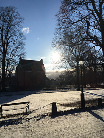 Sol i Odinslund 19 mars 2019