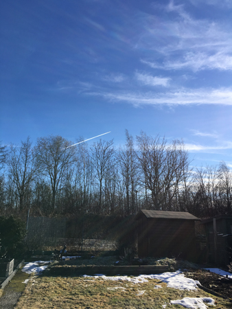 Trädgården baksidan sedd från stugan