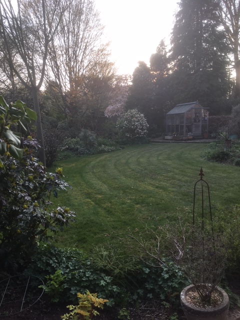 Toms trädgård och skjul