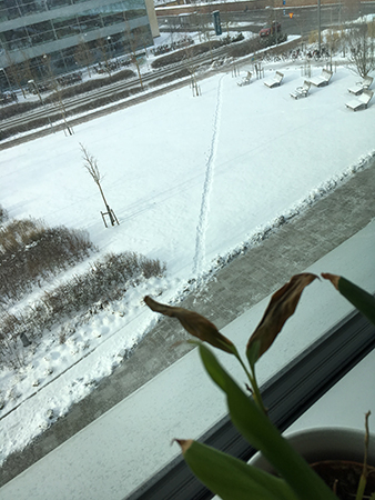 Vinterutsikt från kontorsfönstret
