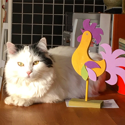 Citrus och påsktuppen