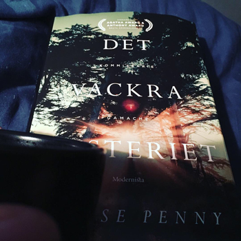 Det vackra mysteriet