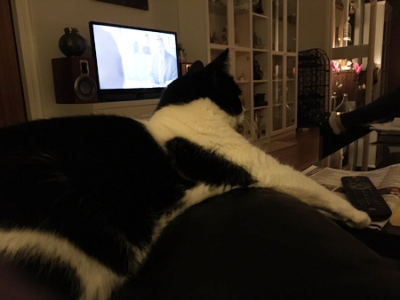 Mini sträcker sig efter fjärrkan