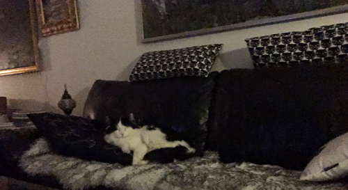 Lucifer sover i soffan