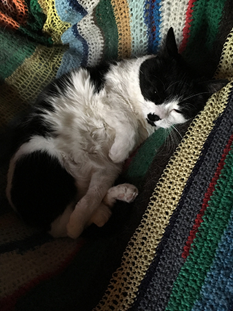 Mini halvsover i skrivbordsstolen