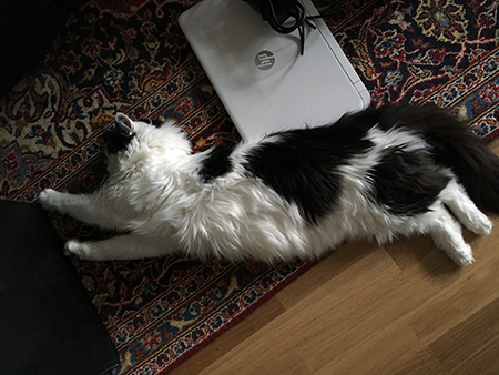 Lucifer och Annas dator