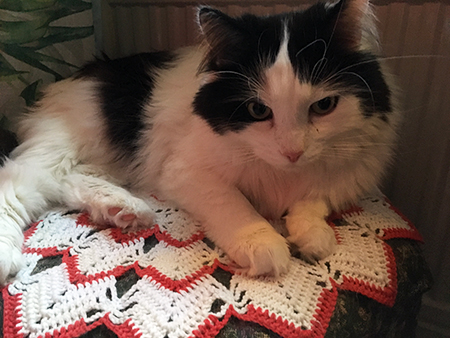 Lucifer på virkade duken