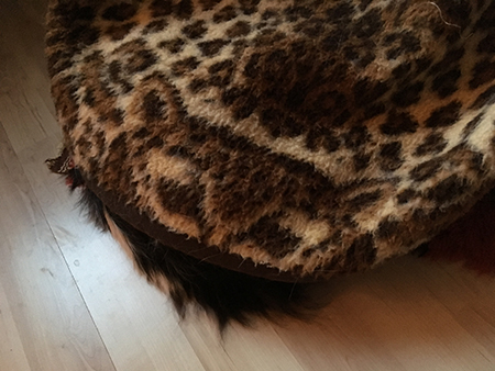 Lucifer under leopardfilten svansens syns