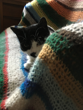 Mini i skrivbordsstolen