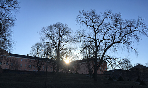 Solen går upp bakom slottet