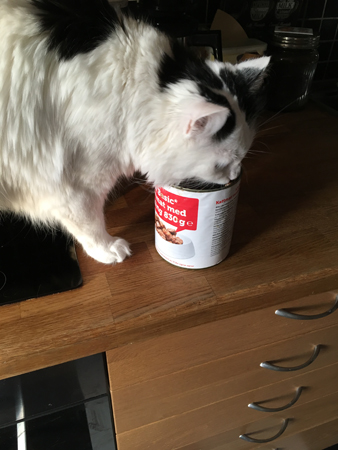 Citrus äter direkt ur burken